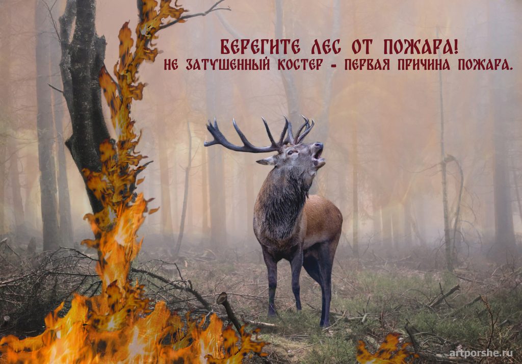 Постер «Берегите лес от пожаров»