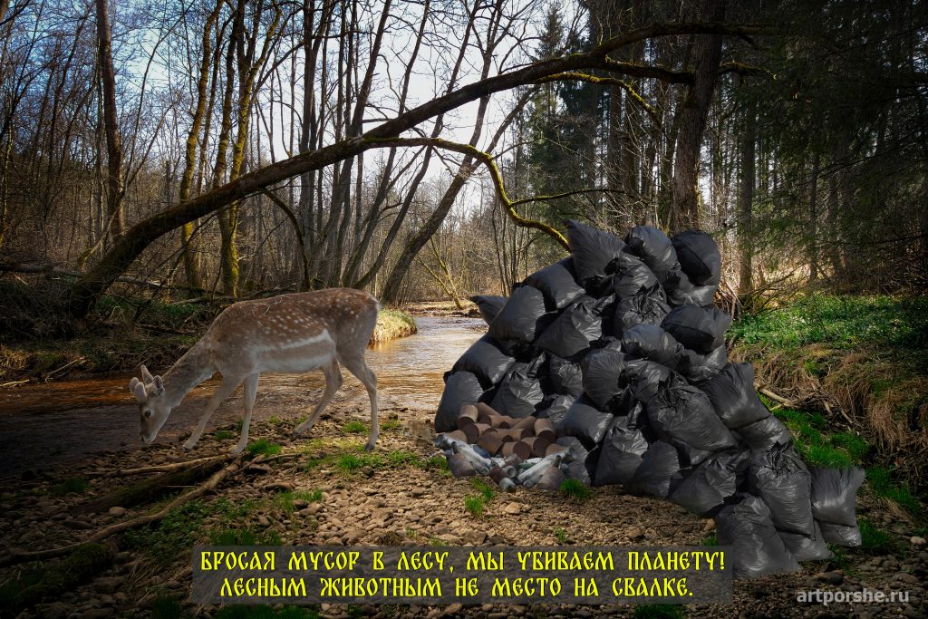 Постер «Бросая мусор в лесу, мы убиваем планету»